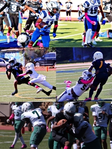 First round action shots from each semifinal participant including Cedar Grove, Stephenson, Chapel Hill and Redan. (Photos by Mark Brock)